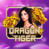 Dragon Tiger at phdream log in